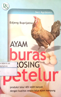Ayam Buras Krosing Petelur