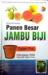 Image of Panen Besar Jambu Biji Dalam Pot