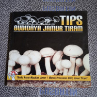 Image of Tips Budidaya Jamur Tiram